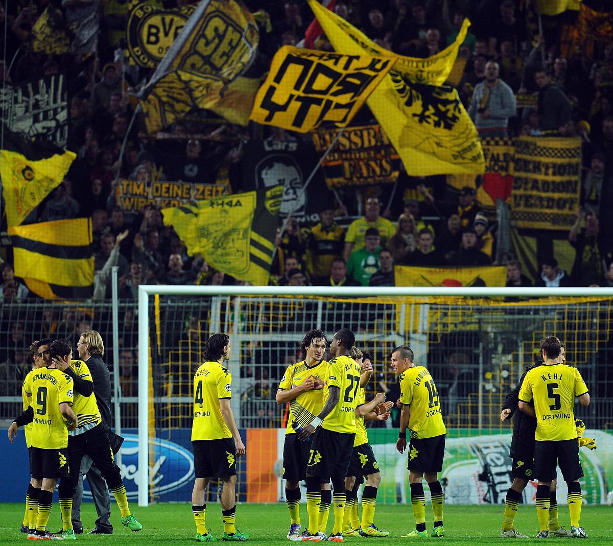 开云全站-德甲激烈碰撞，球迷支持不断提升