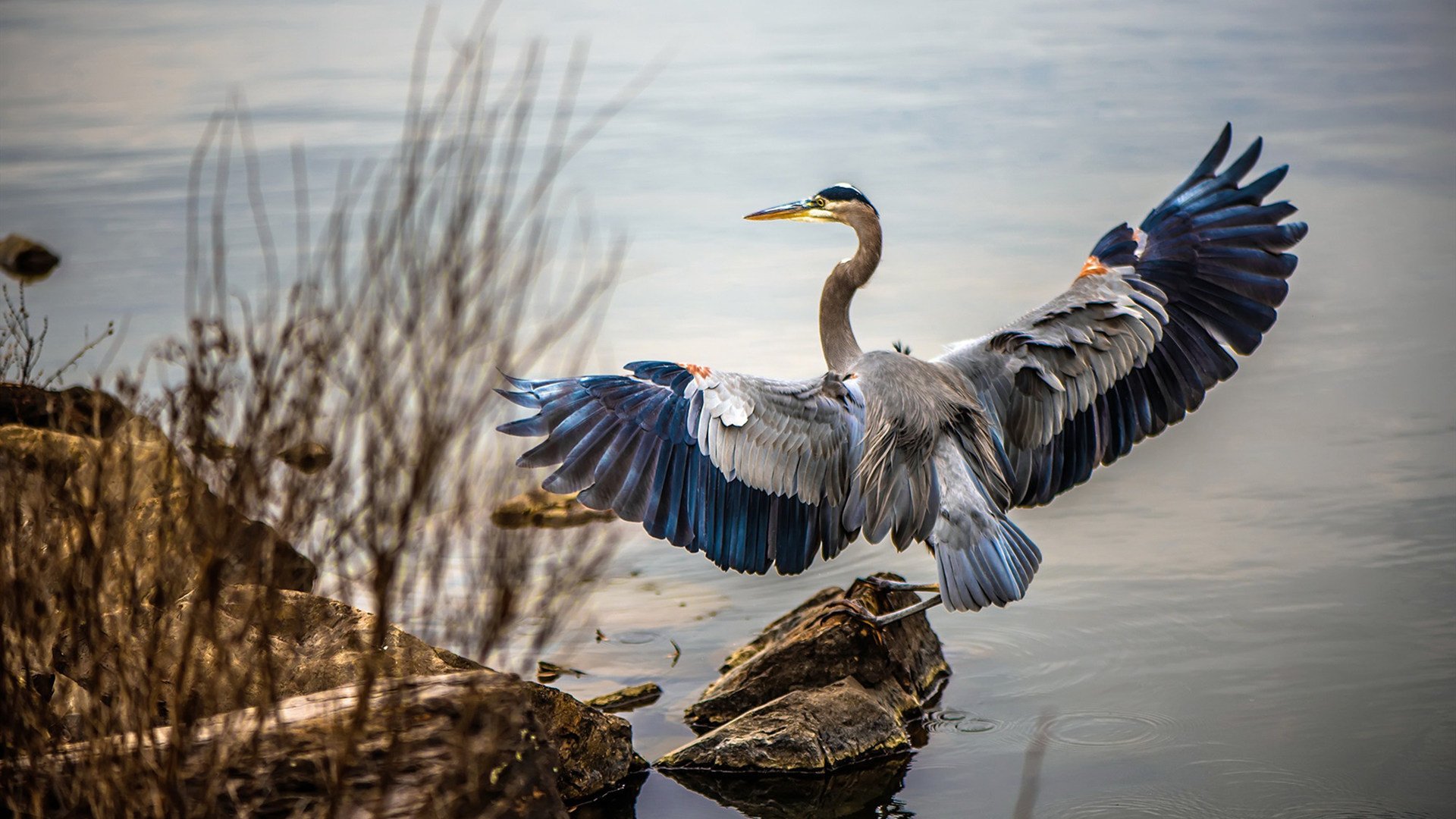 开云下载-【新手指南】球桌选择与基础技巧入门推荐，球桌是什么意思