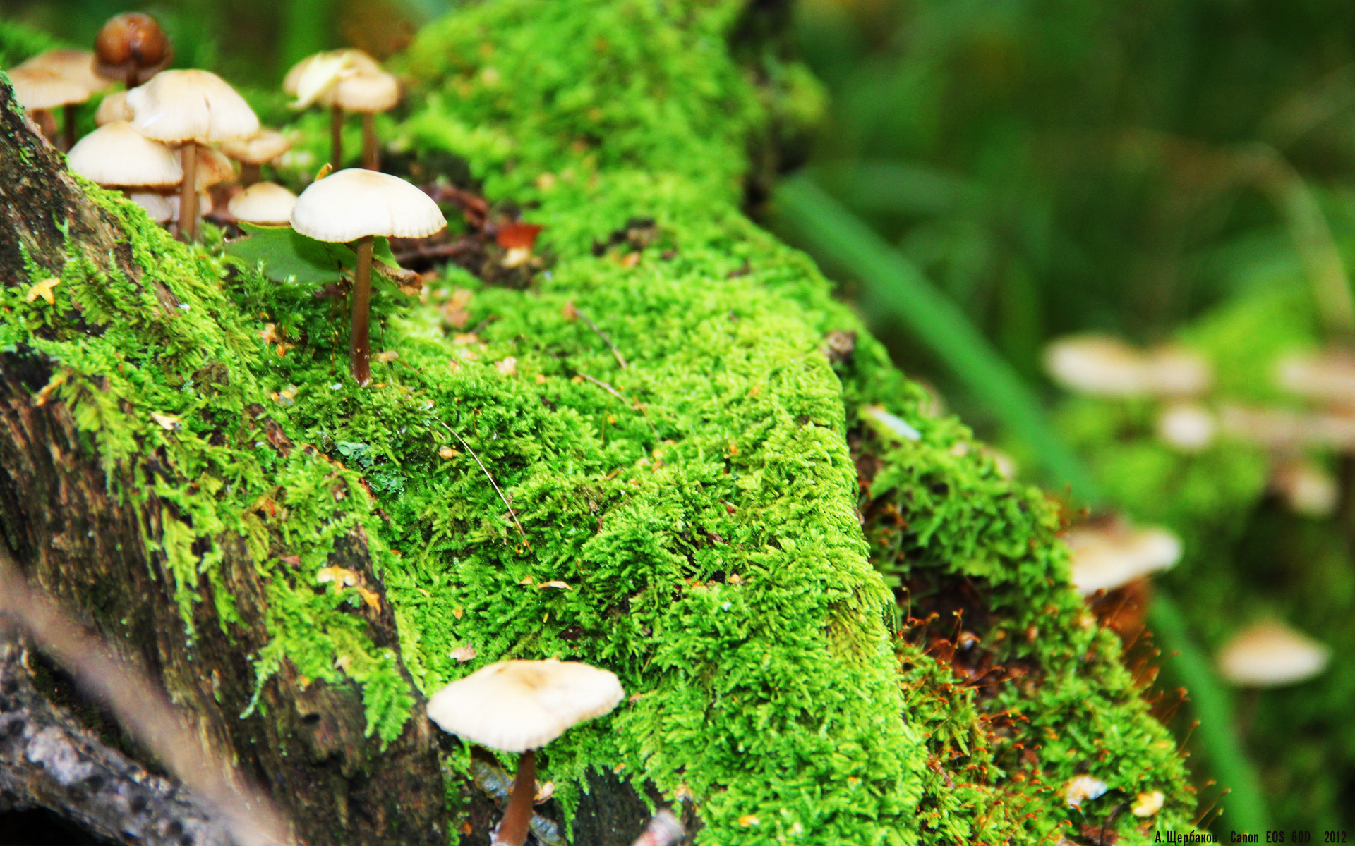 开云·体育全站登录地址-【新技术应用】智能监控辅助防守策略的未来前景，智能辅助综合监控系统定义及组成