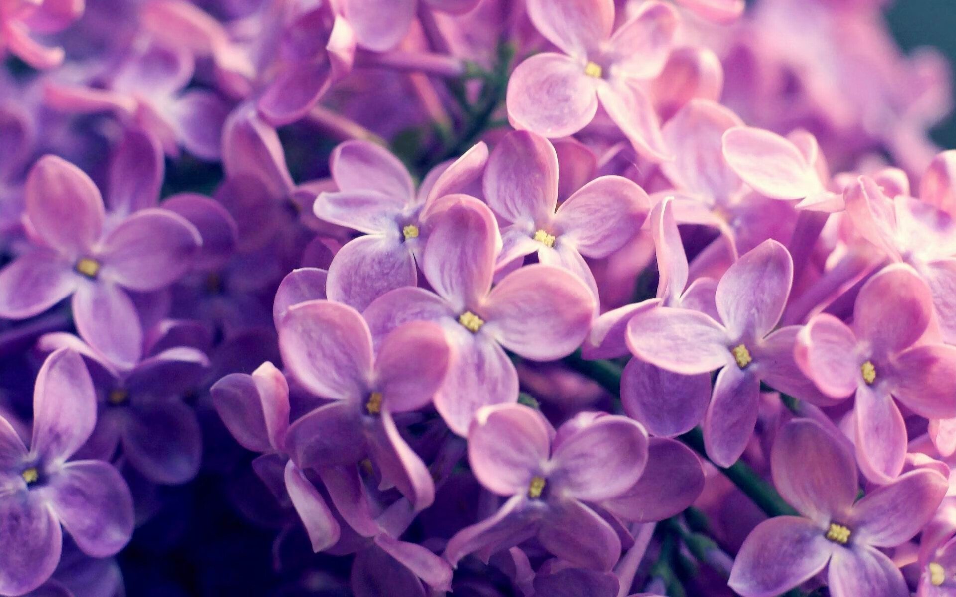 哪些球队成功逆袭？过去一周最经典的逆转瞬间盘点，足球史诗级逆转