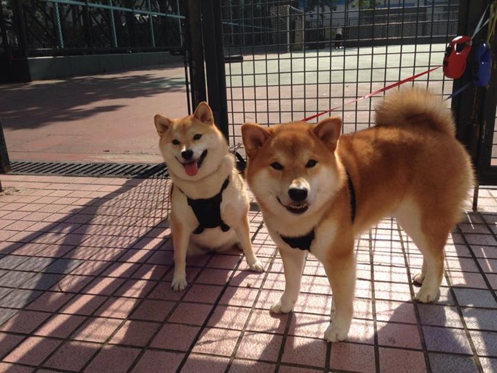 开云全站-小组赛收官战：法国1-1憾平，出线未果，法国队小组赛