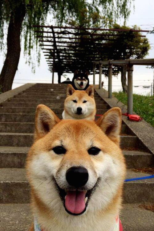 开云官网登录-西班牙反曲弓男队在上海世界杯中获得第四名，男子反曲弓团体赛