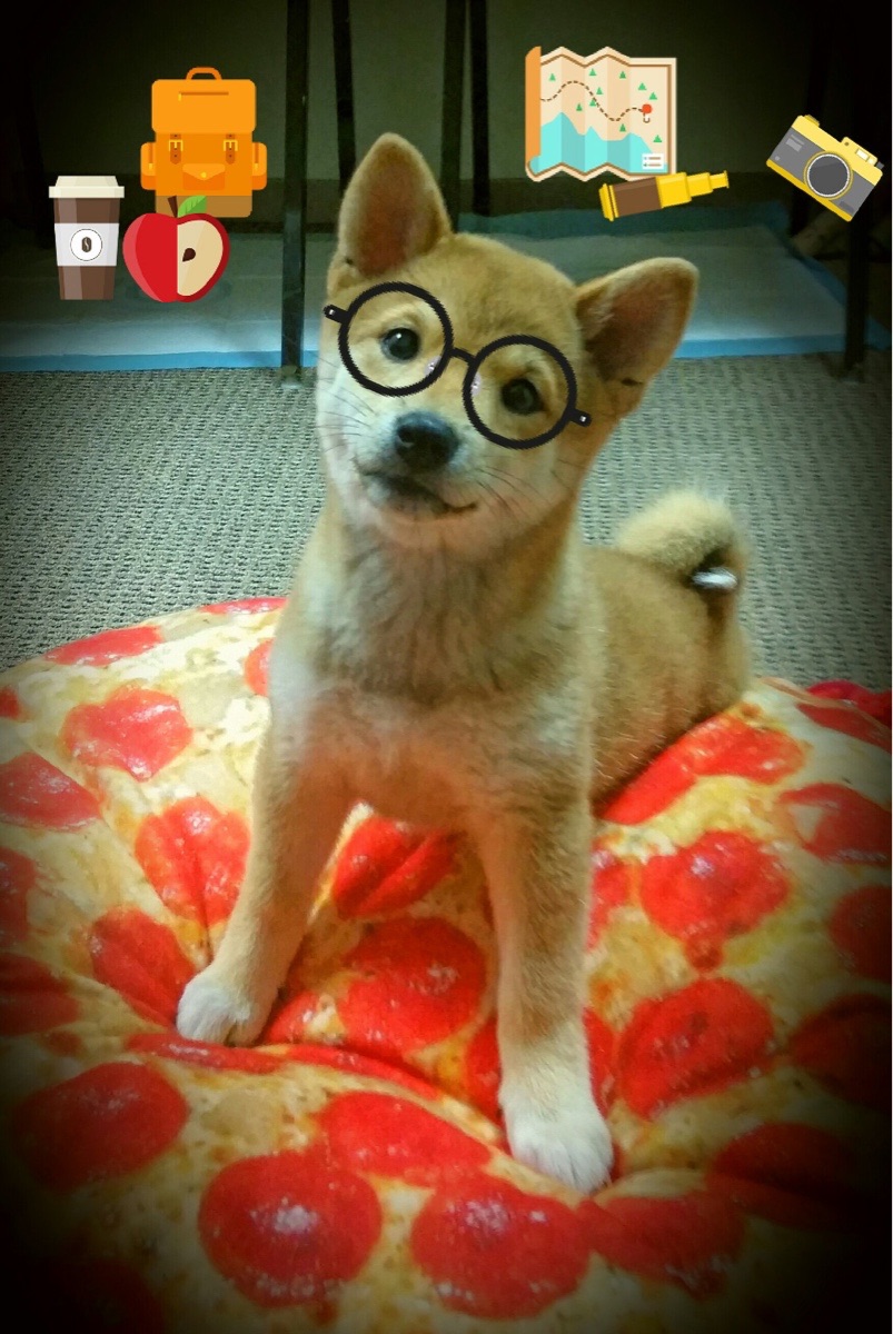 西班牙国奥队夺得巴黎奥运会男足金牌,西班牙奥运会男足历届成绩