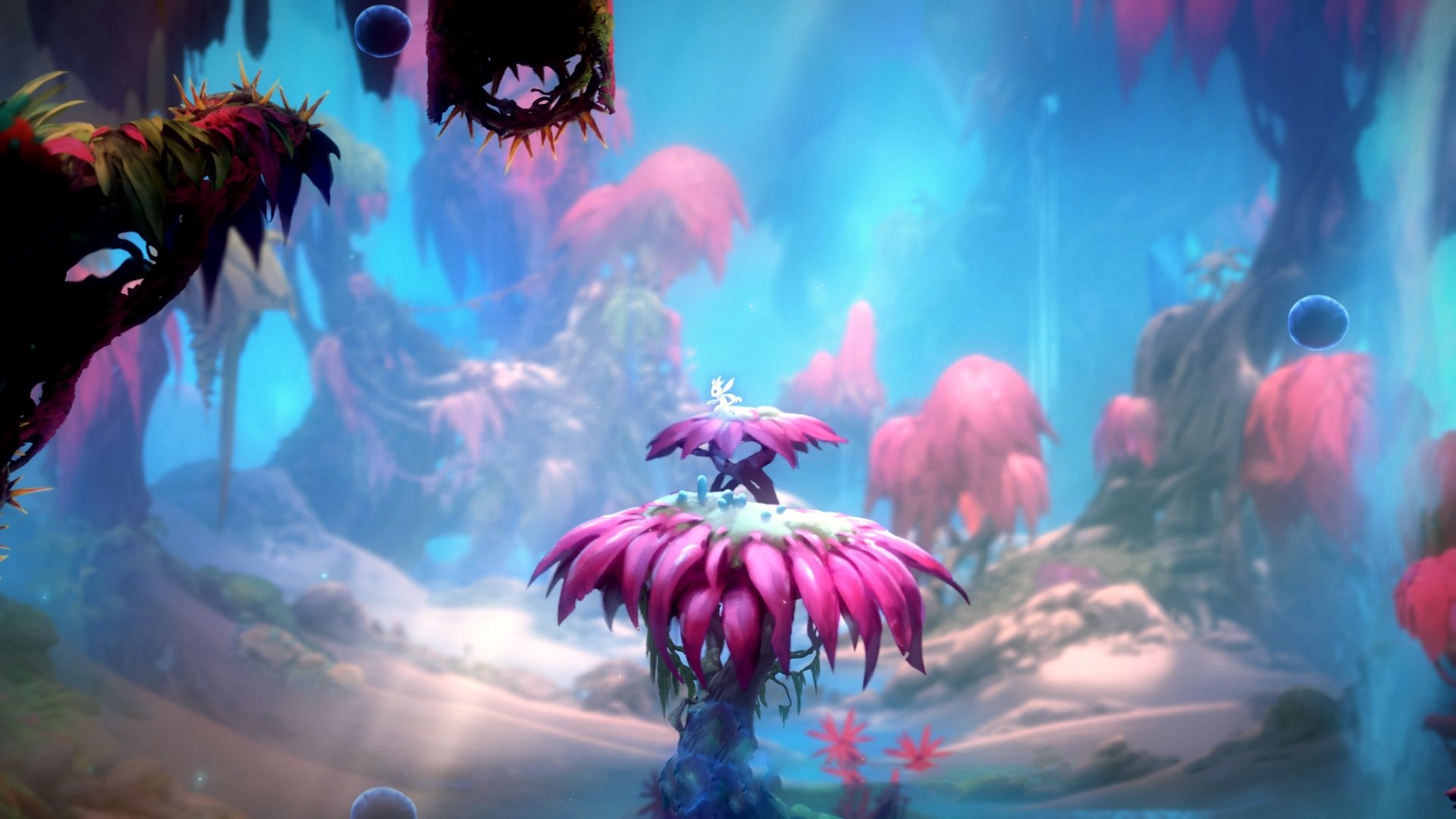 足球裁判资格考试报名人数创历史新高，足球裁判报名时间