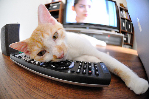 青少年“篮球志愿大使”在全国多地走访慰问贫困地区少年儿童,青少年篮球队