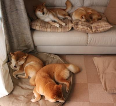 开云官方网站-KPL战队开展技术与体能双重竞赛演练，kpl战术体系2020