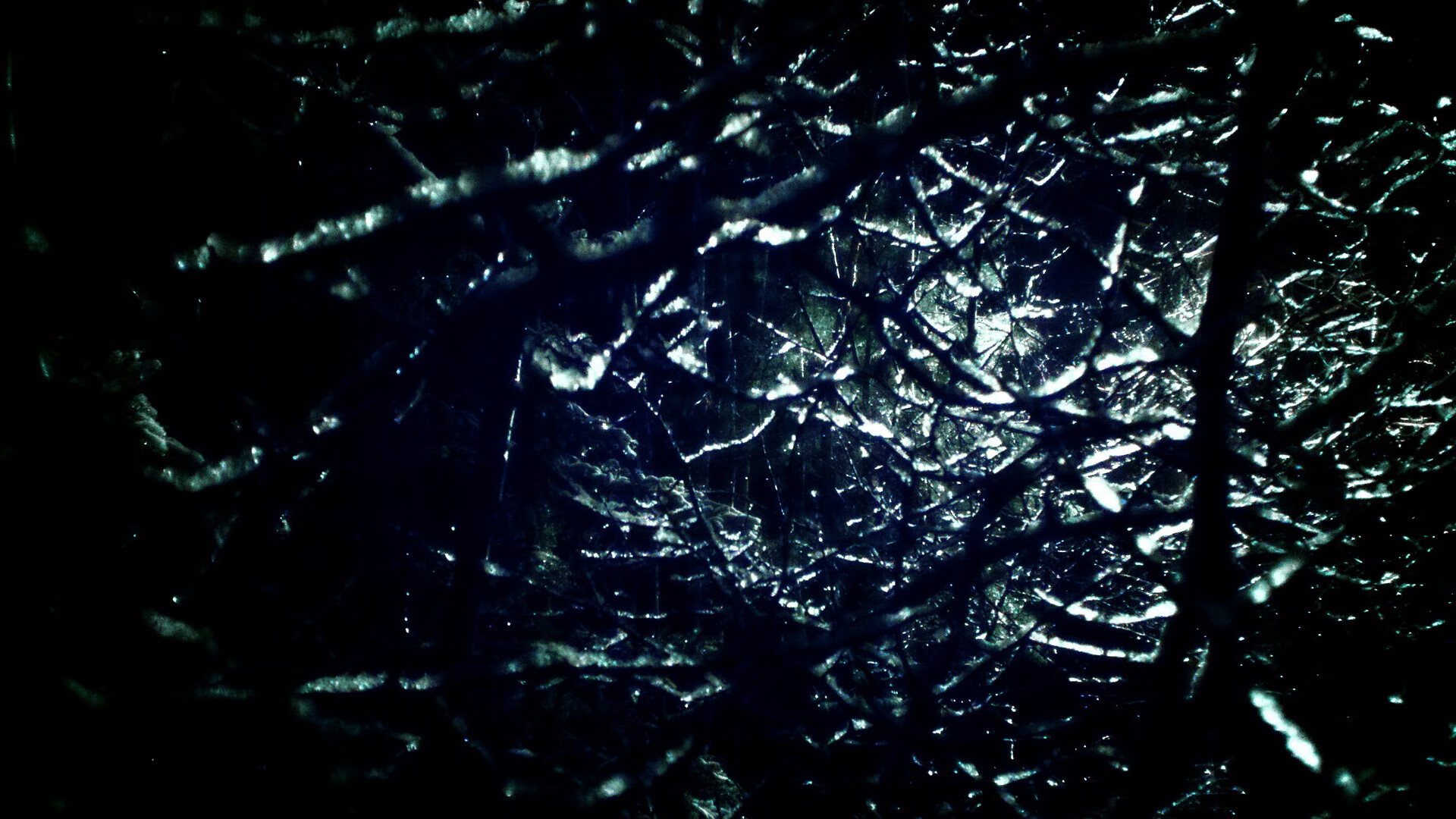 kaiyun登录入口-亚洲女子篮球锦标赛落幕，冠军花落哪家？，亚洲女子篮球锦标赛时间