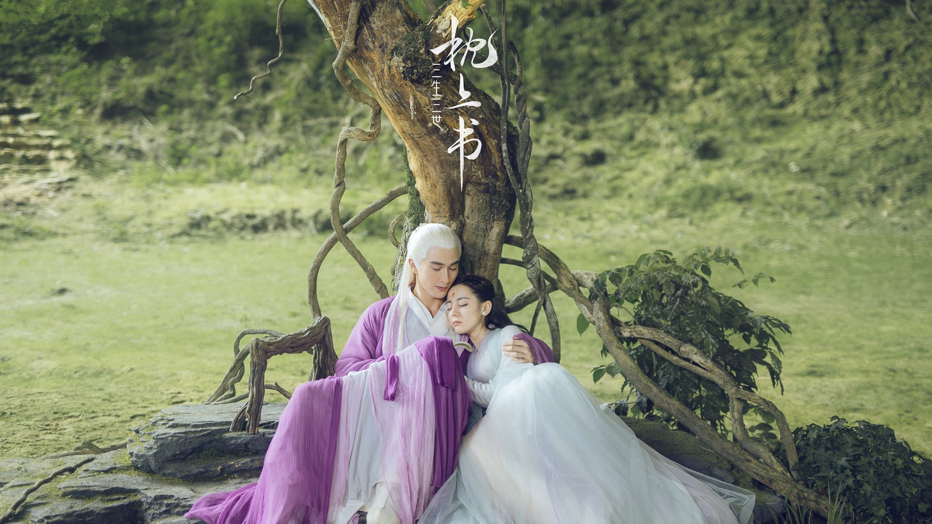 北京国安客场战胜辽宁沈阳开新篇章,北京国安对战