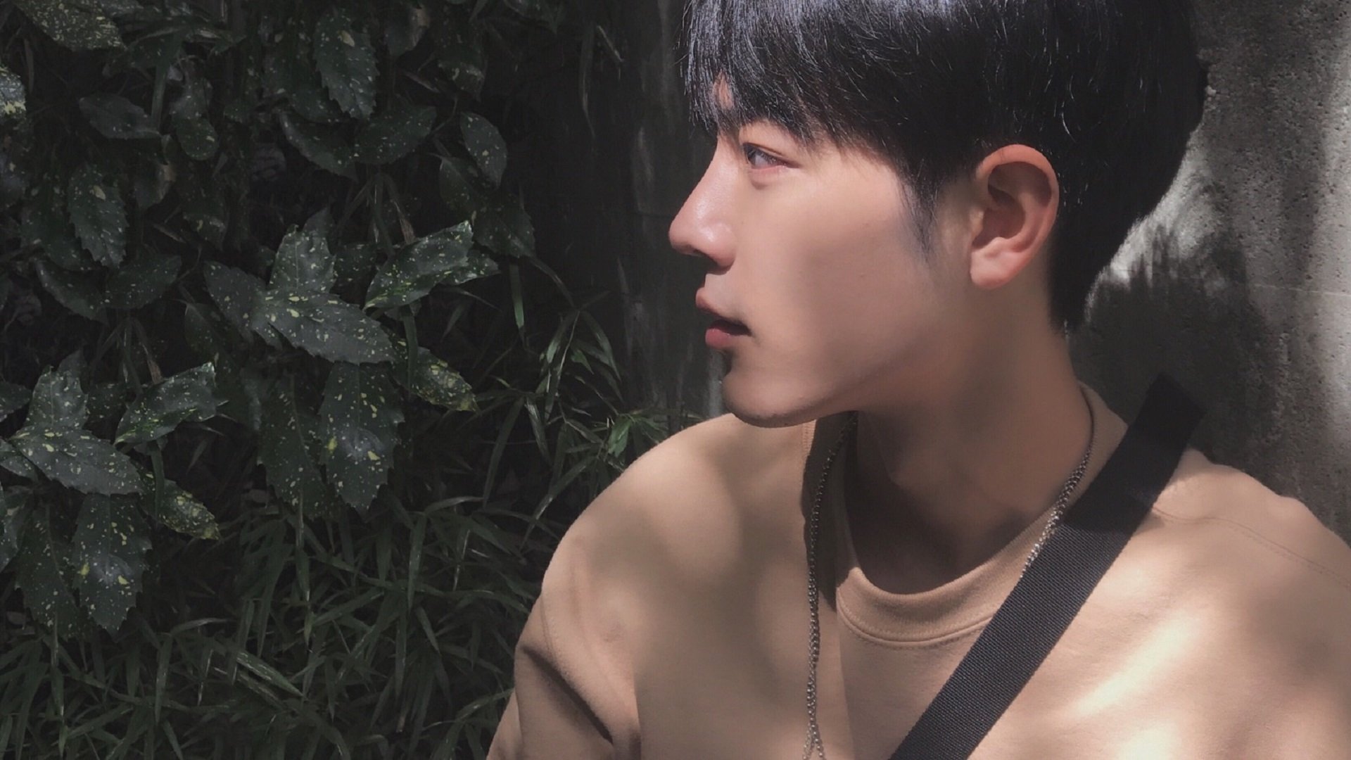 开云·体育全站登录地址-比利时队在大赛中连胜保持领先地位，夺冠在望，比利时队的比赛