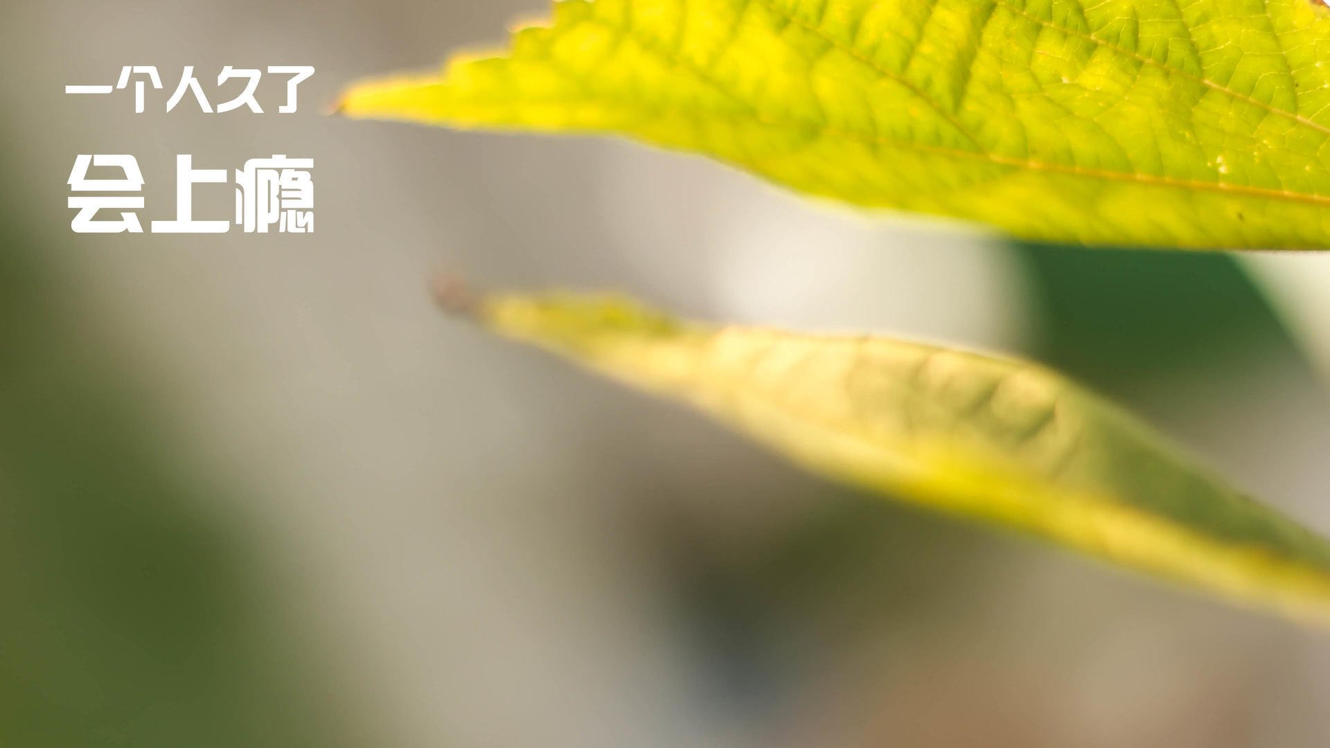 湖人绝杀步行者,季后赛首轮中詹姆斯带伤作战,湖人对步行者总决赛打了几场