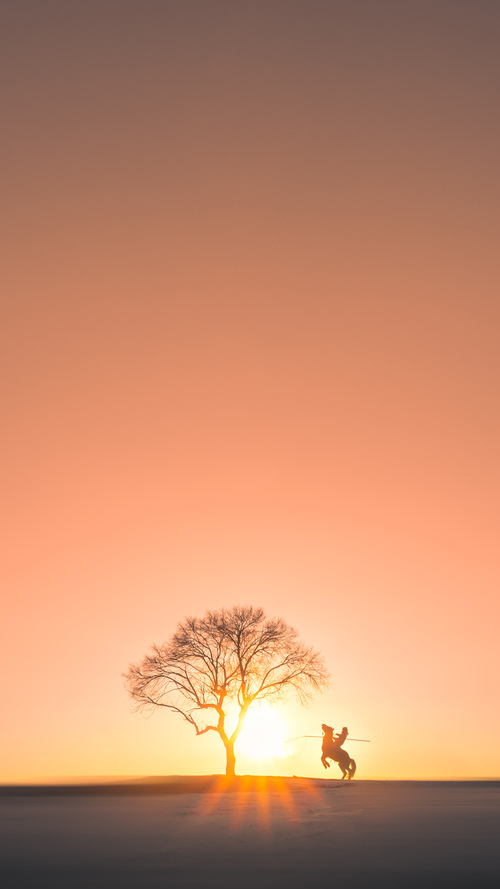 篮球运动员身体恢复与康复技术,篮球康复训练做哪些训练