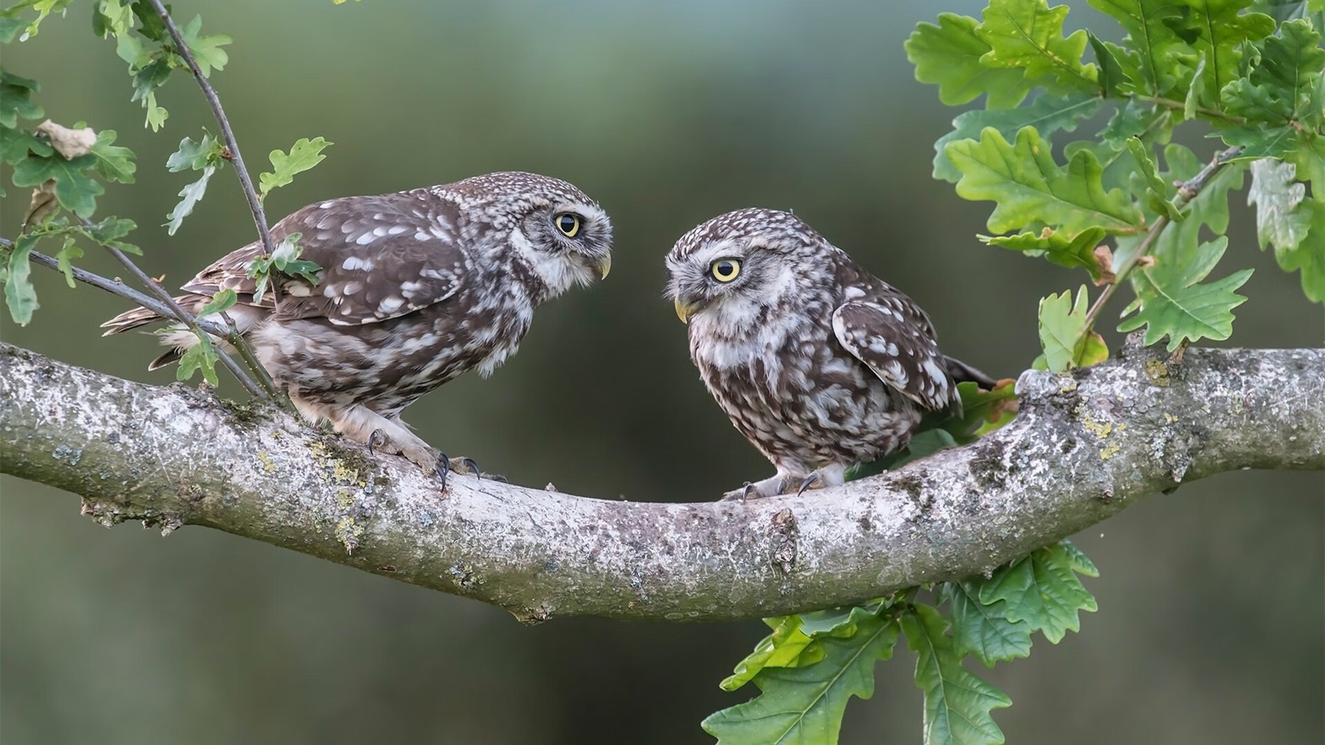 篮球运动员身体恢复技术创新,篮球运动员的疲劳与恢复