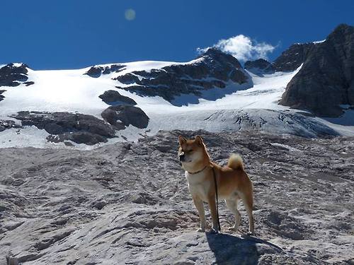开云官网登录-联盟是否应设立球员海外志愿服务基金