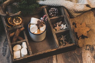 开云网页版登录入口-NBA赛季助攻王表现动态，nba本赛季助攻王