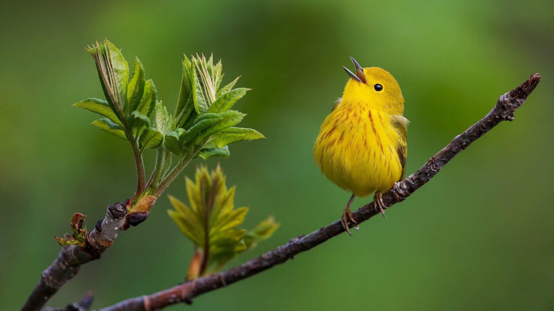 kaiyun官方入口登录-NBA赛季得分效率排行榜，nba赛季得分王榜排名