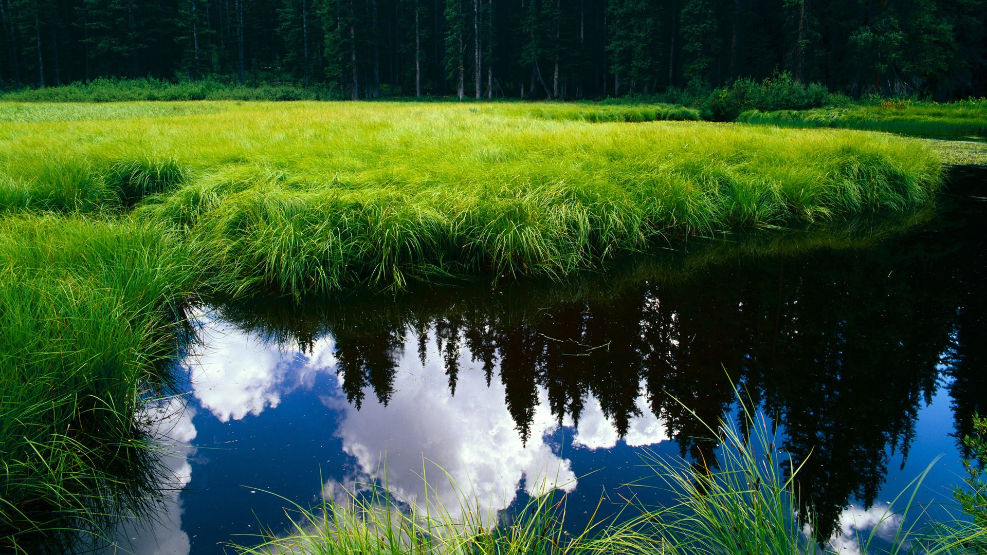 体育赛事数字营销策略设计,体育赛事营销有哪些创新方式