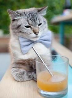 中国三人女篮注重心理建设 提升比赛稳定性,中国三人女子篮球队