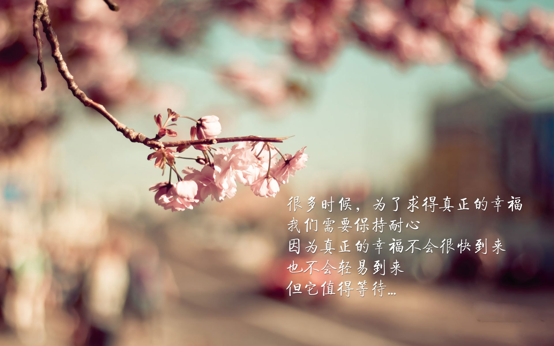 中国女篮加强协防区域限制对手得分,女篮 中国队