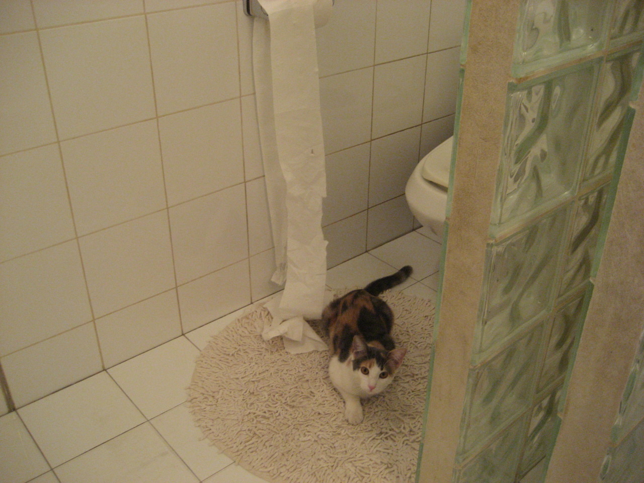 开云全站-中国赛车大奖赛决赛日燃情开跑，中国赛车节目