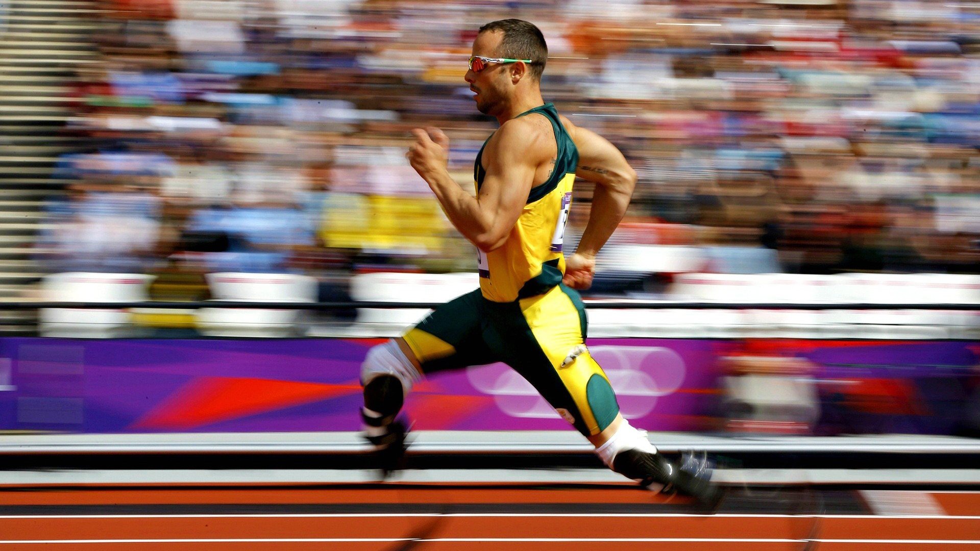 埃及队未来发展:加强与国际乒乓界的交流与合作,埃及乒乓球发展状况