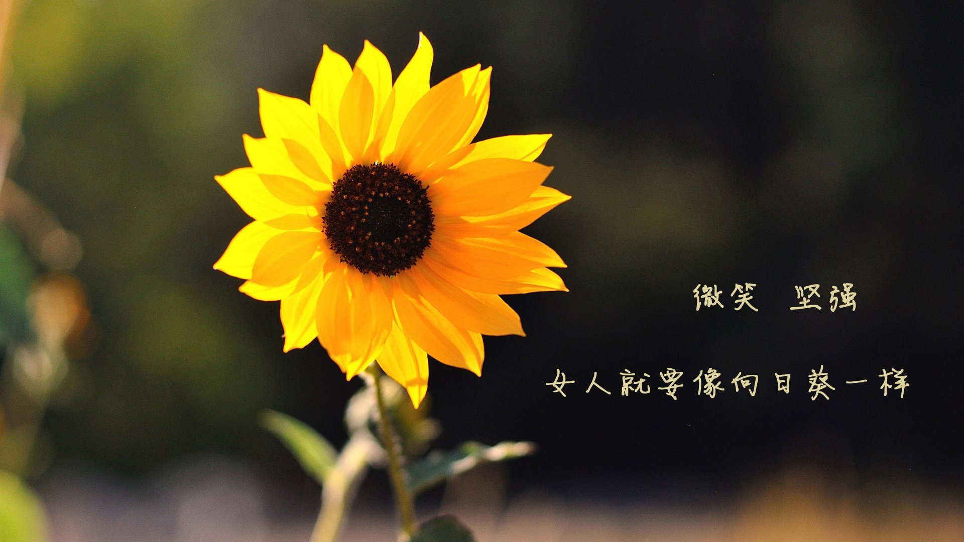 kaiyun中国官方网站-校园篮球裁判培训体系为何缺位，校园篮球裁判的发展现状分析