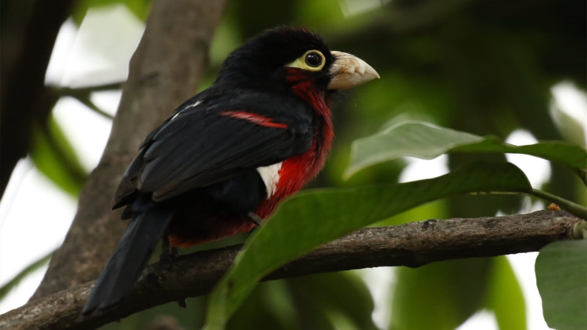 开云官方-选手冲刺阶段划水频率激增，冲刺型选手