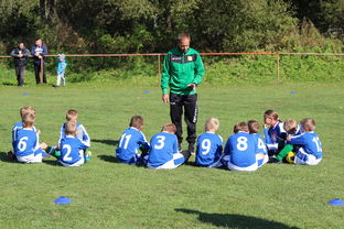 开云官方网站-南非混合泳团队战术引热议，南非的混合农业