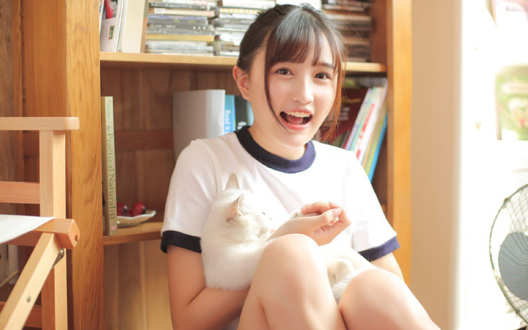 国王主场座椅调整为舒适型提升观赛体验，国王的座位