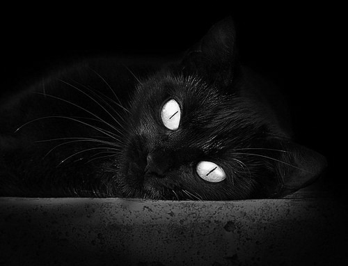 尤文图斯引援成功，中场实力大幅增强