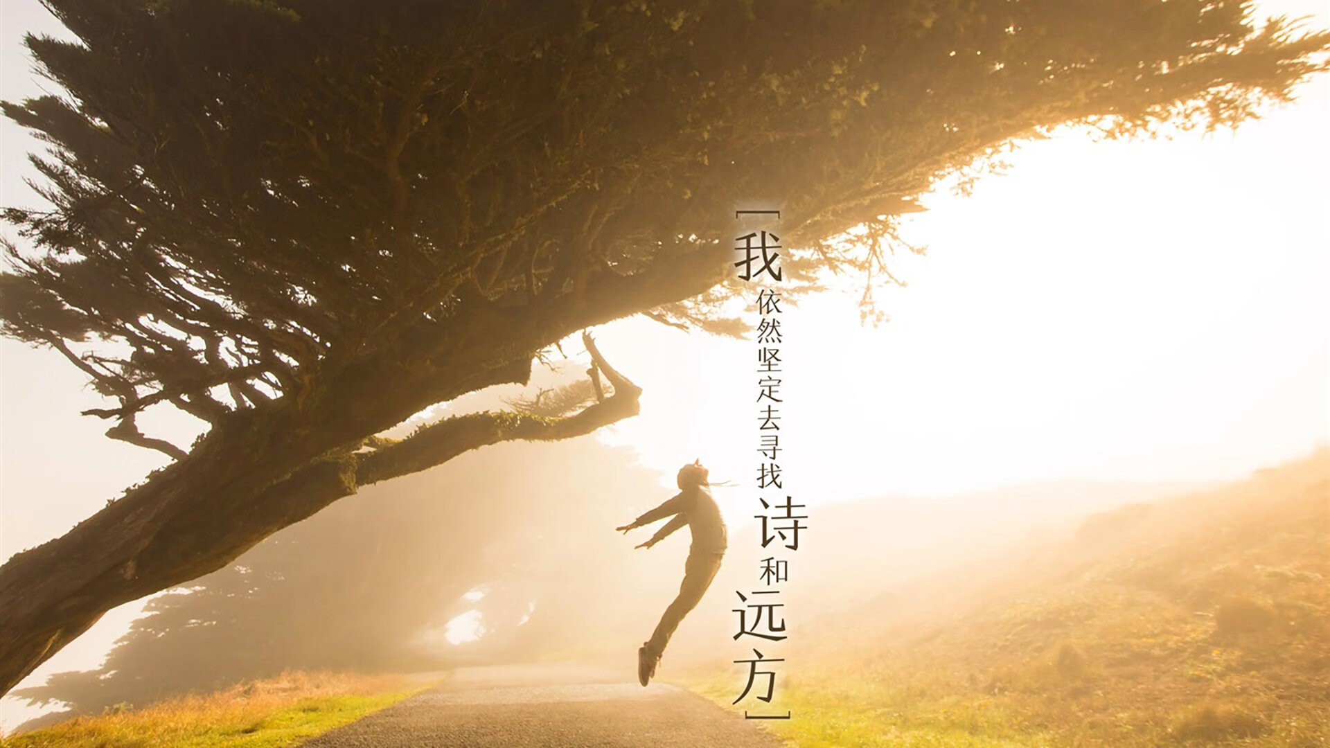 帕特森的球场指挥力和技术发挥,让袋鼠队在关键比赛中脱颖而出