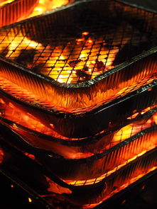 开云·体育官方网站入口-森林狼主场布景焕然一新增强品牌识别度，森林狼logo