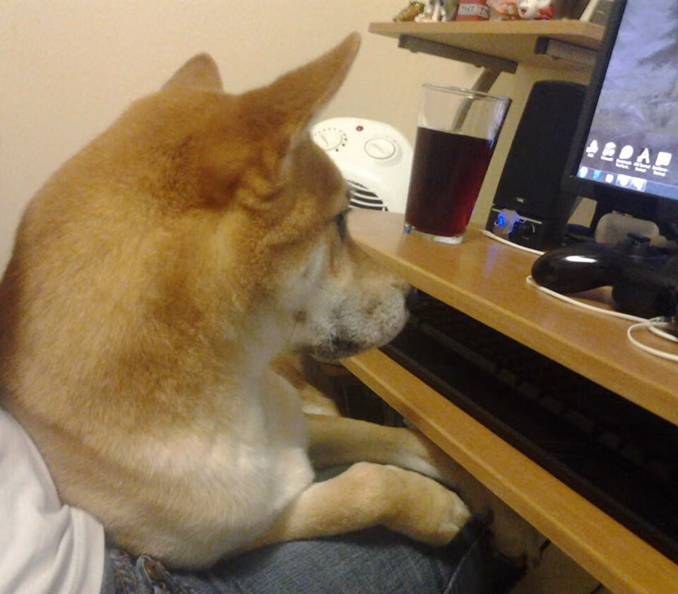 科里·简:全黑队新一代边锋,凭借速度和技术让防线束手无策,科里乐队