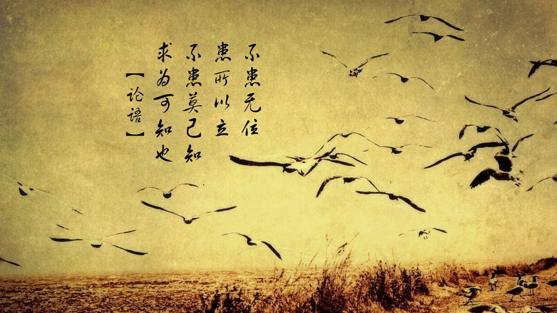 kaiyun网站-米兰双雄奋力争夺，意甲火药味十足