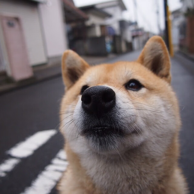 开云官网在线-詹姆斯领衔球队进行封闭战术演练，詹姆斯封神之战集锦